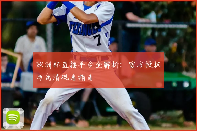 欧洲杯直播平台全解析：官方授权与高清观看指南